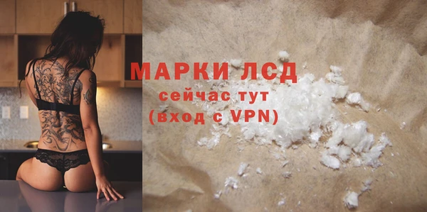 стафф Алзамай