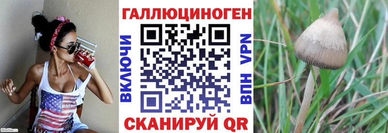 kraken как зайти  Карачаевск  Галлюциногенные грибы Magic Shrooms 