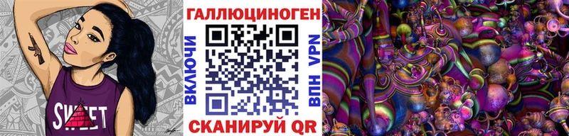 Галлюциногенные грибы Psilocybine cubensis Карачаевск
