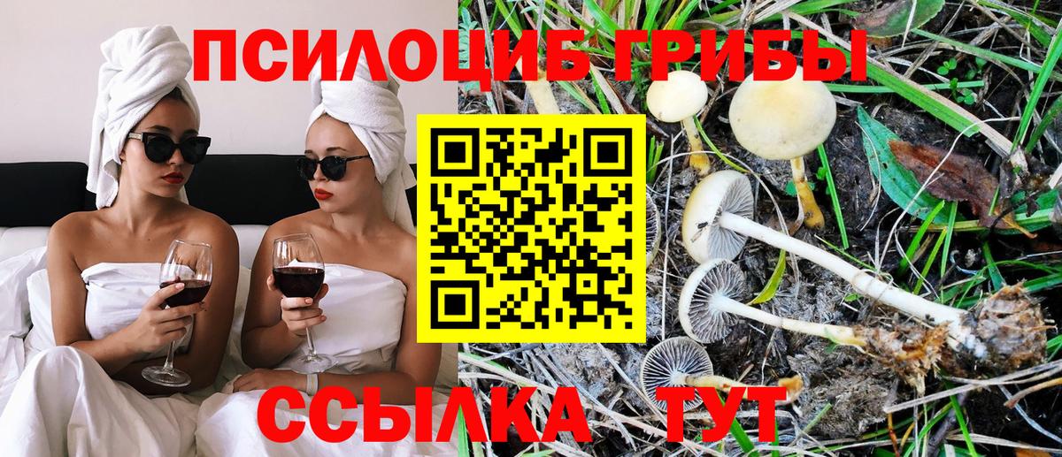 Карачаевск  даркнет сайт  Вход с VPN  Псилоцибиновые грибы мухоморы 
