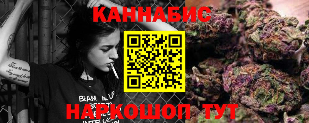 Каннабис план Карачаевск
